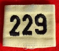 229